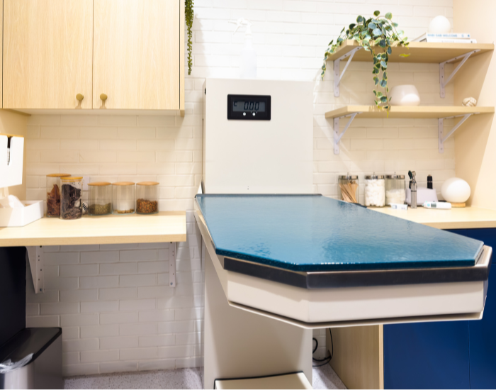 veterinary cleaning in northampton